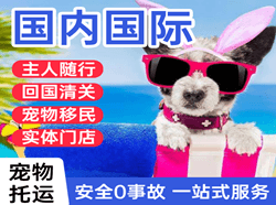 白山机场快运国际宠物托运 【国